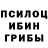 Галлюциногенные грибы Magic Shrooms T Bordelon