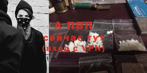 мяу мяу мука Богданович