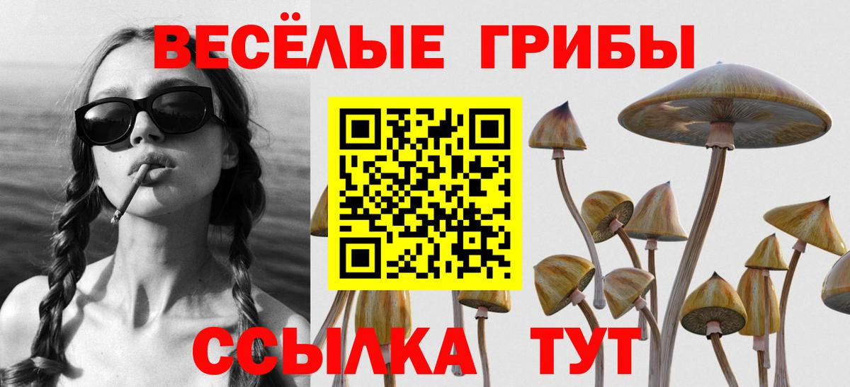 Псилоцибиновые грибы мухоморы Волжск